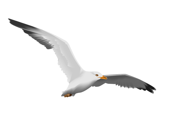 Painted seagull
